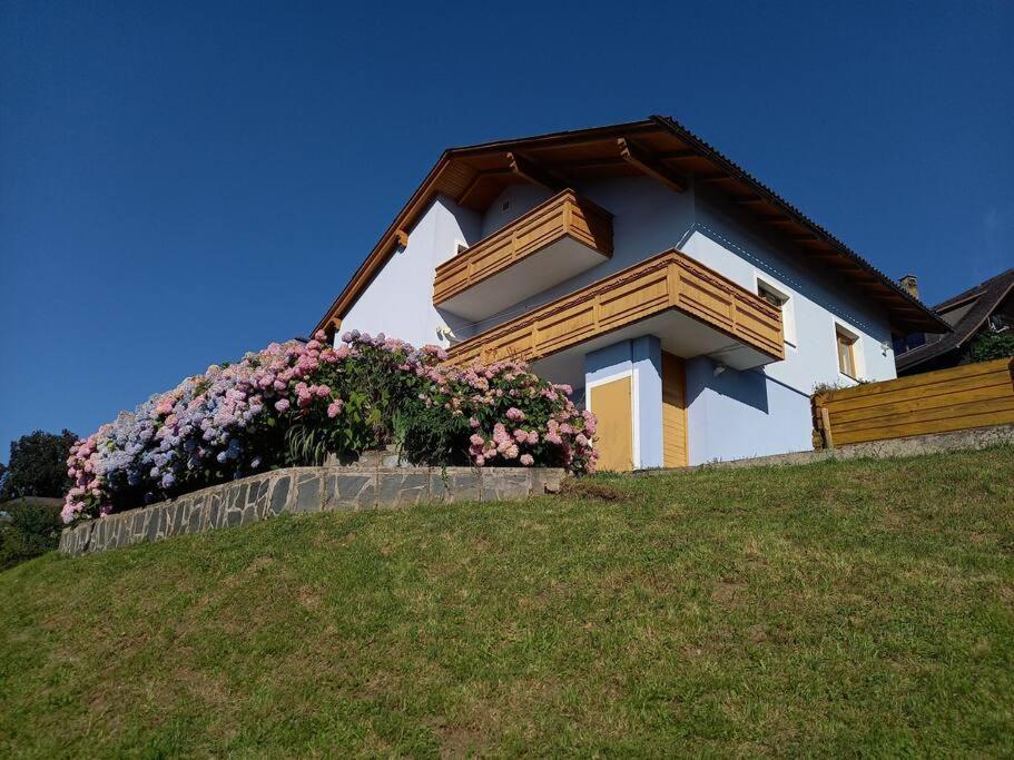 Haus Sonnenhang +Seeblick+Pool Reifnitz Exterior foto